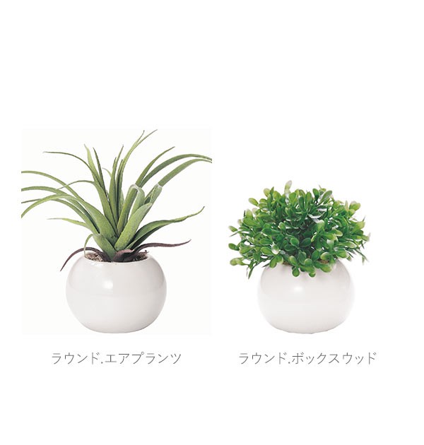 光触媒 観葉植物 通販 フェイクグリーン ミニ インテリアグリーン