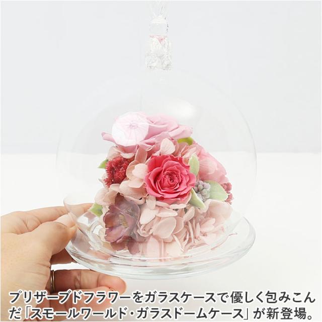 楽天ランキング1位】レインボーローズレインボーカーネーションガラス