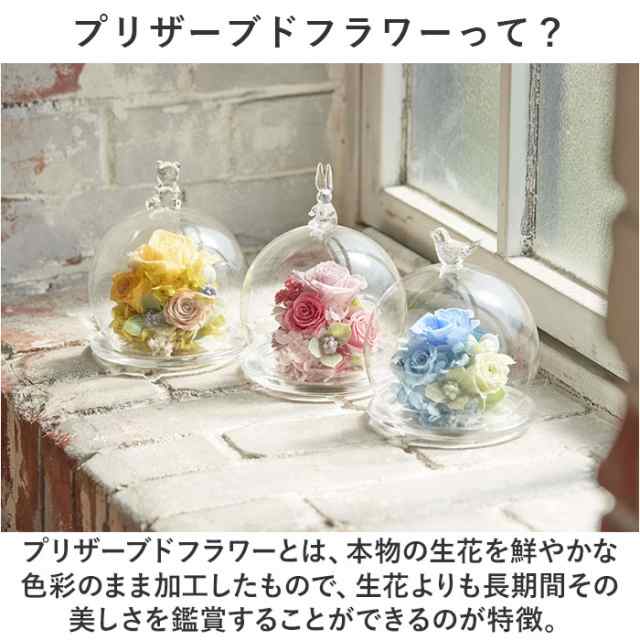 プリザーブドフラワー ガラスドーム 通販 フラワー