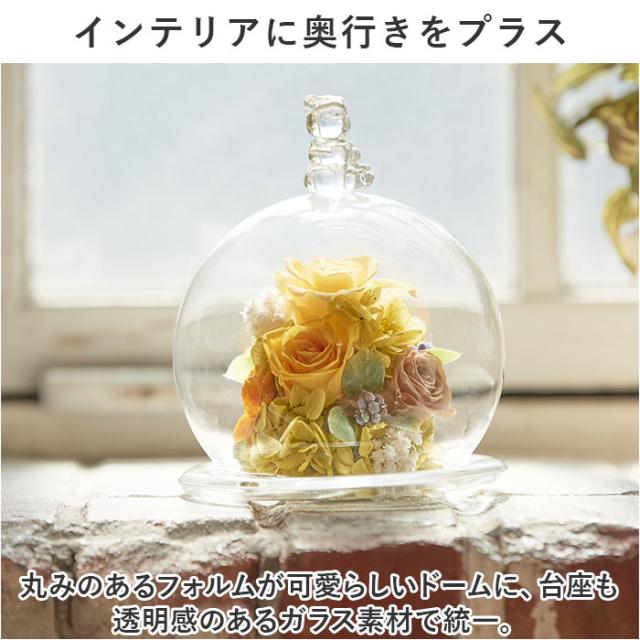 プリザーブドフラワー ガラスドーム 通販 フラワーアレンジメント