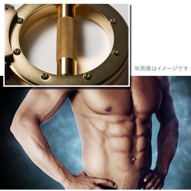 トレーニングマシン 自宅 通販 バーンマシン ゴールドラグジュアリー BURNMACHINE GOLD LUXURY トレーニング器具 フィットネス 筋トレ 運動 シェイプアップ 引き締め 二の腕 腹筋 背筋 大胸筋 短時間 スポーツ トレーニング_6