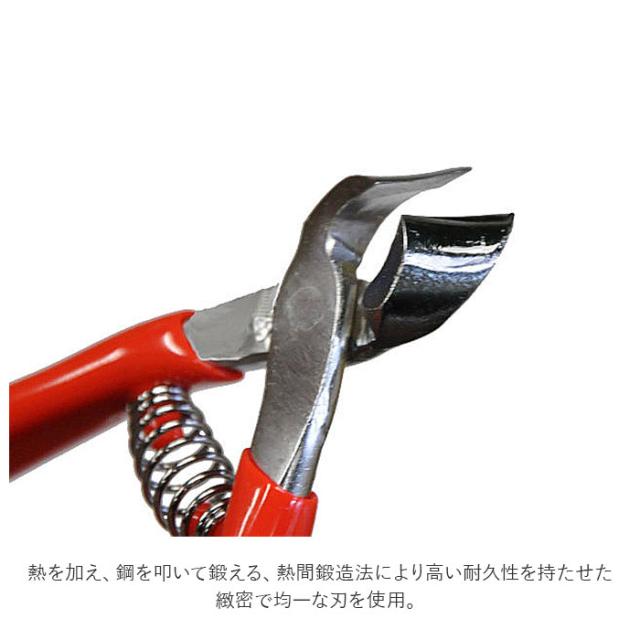 爪切り 介護用 通販 つめきり 看護 爪切りニッパー 介護用つめ切り ニッパー型爪切り 爪やすり付 グリップ付き 巻き爪 陥入爪 斜刃の通販はau Pay マーケット Backyard Family インテリアタウン Au Pay マーケット店