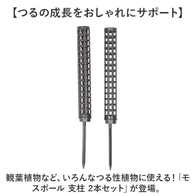 モスポール 2本セット 通販 支柱 観葉植物 ガーデニング 園芸用 支え 植物 園芸支柱 植物支柱 モンステラ 園芸 ガーデニング用 サポート つる ガーデニング用品 植物サポート 支柱