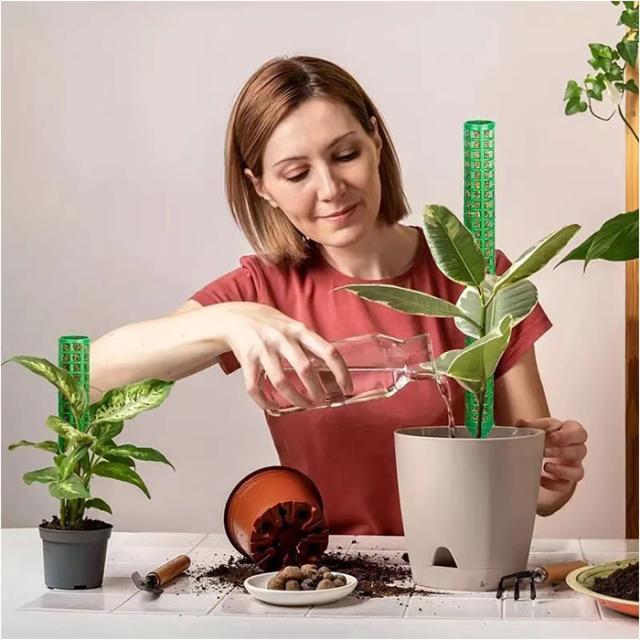 モスポール 2本セット 通販 支柱 観葉植物 ガーデニング 園芸用 支え 植物 園芸支柱 植物支柱 モンステラ 園芸 ガーデニング用 サポート つる ガーデニング用品 植物サポート 支柱