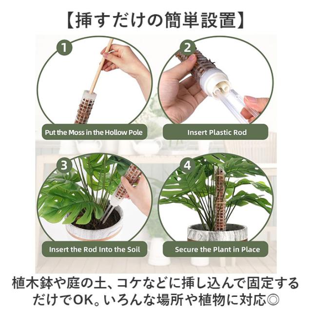 モスポール 2本セット 通販 支柱 観葉植物 ガーデニング 園芸用 支え 植物 園芸支柱 植物支柱 モンステラ 園芸 ガーデニング用 サポート つる ガーデニング用品 植物サポート 支柱