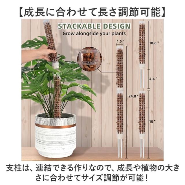 モスポール 2本セット 通販 支柱 観葉植物 ガーデニング 園芸用 支え 植物 園芸支柱 植物支柱 モンステラ 園芸 ガーデニング用 サポート つる ガーデニング用品 植物サポート 支柱
