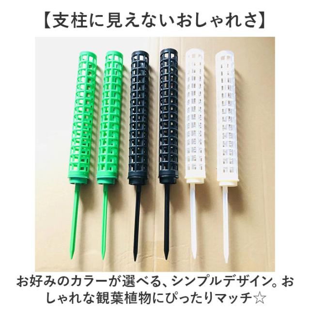 モスポール 2本セット 通販 支柱 観葉植物 ガーデニング 園芸用 支え 植物 園芸支柱 植物支柱 モンステラ 園芸 ガーデニング用 サポート つる ガーデニング用品 植物サポート 支柱