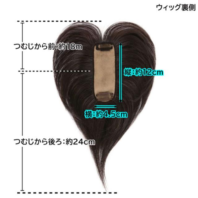 プリシラ 部分 ウィッグ prisila ST-100 通販 かつら 女性 レディース 部分ウィッグ ポイントウイッグ ヘアピース ポイントウィッグ ウイッグ 頭頂部 つむじ 白髪隠し 白髪かくし カツラ 人毛100% 人 毛 100 分け目 増毛部分かつら_12