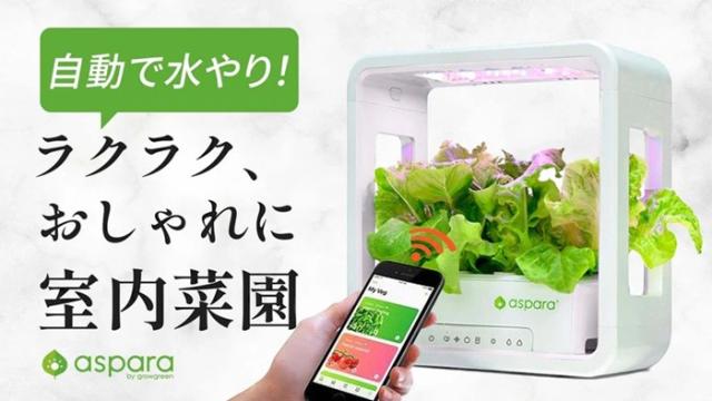 水耕栽培キット 通販 水耕栽培 野菜栽培 家庭菜園 屋内用水耕栽培キット 自動水やり 室内菜園 自動調整 アプリ管理 野菜育成 植物育成 コンパクト設計 スタイッリシュ ミニチュアガーデン お洒落 野菜 ハーブ 花 aspara garden(アスパラガーデン)_1