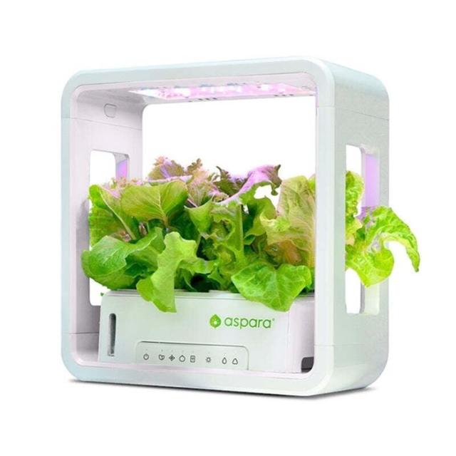 水耕栽培キット 通販 水耕栽培 野菜栽培 家庭菜園 屋内用水耕栽培キット 自動水やり 室内菜園 自動調整 アプリ管理 野菜育成 植物育成 コンパクト設計 スタイッリシュ ミニチュアガーデン お洒落 野菜 ハーブ 花 aspara garden(アスパラガーデン)_2