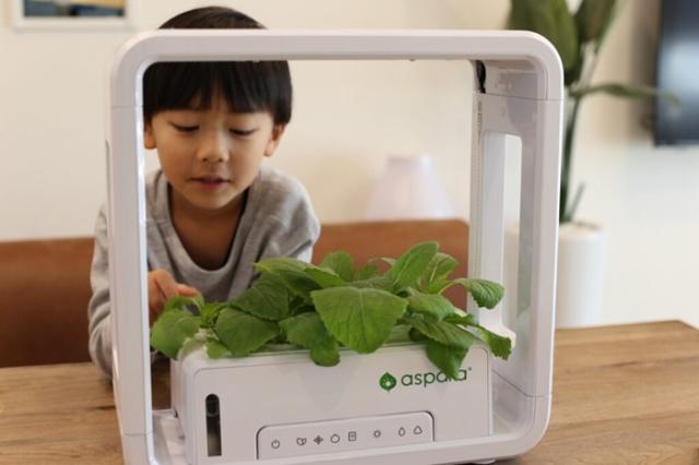 水耕栽培キット 通販 水耕栽培 野菜栽培 家庭菜園 屋内用水耕栽培キット 自動水やり 室内菜園 自動調整 アプリ管理 野菜育成 植物育成 コンパクト設計 スタイッリシュ ミニチュアガーデン お洒落 野菜 ハーブ 花 aspara garden(アスパラガーデン)_4