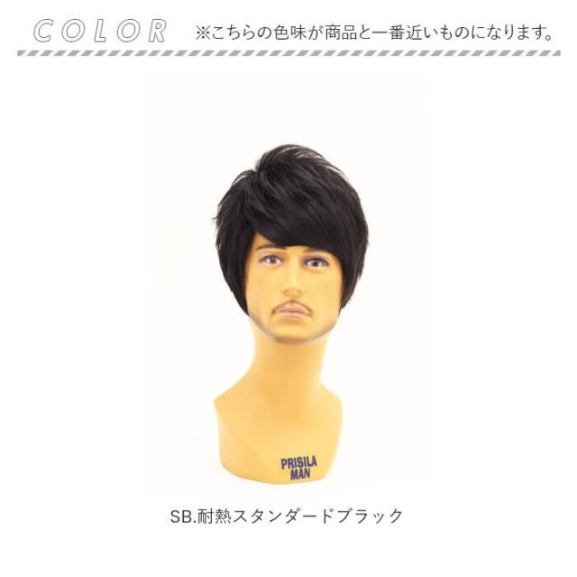 prisila プリシラ ウィッグ MA-100 メンズ 通販 オールウイッグ オールウィッグ フルウィッグ フルウイッグ 全頭かつら かつら ウイッグ メンズウィッグ カツラ 男性用 男性 PRISILA スタンダード ショート コスプレ おしゃれ 自然_14