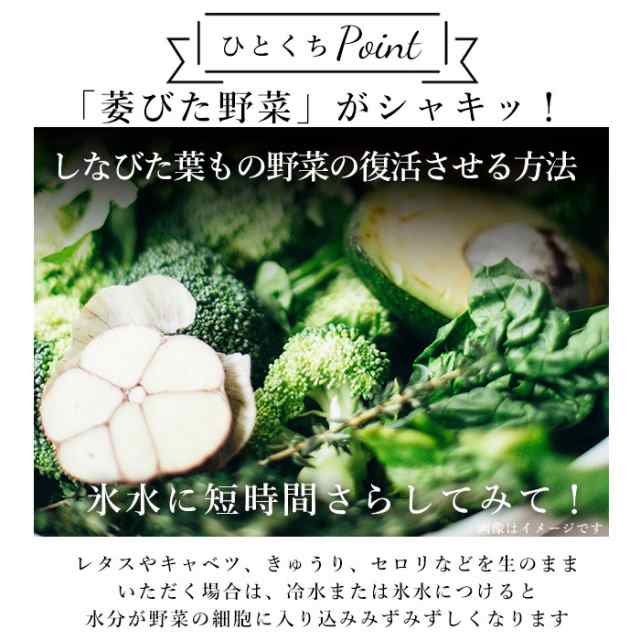 サラダ 水切り 通販 サラダスピナー コンパクト 手動 回転 しっかり 野菜水切り器 大容量 ２L 滑り止め付き 分解 ザル LIBERALISTA  リベの通販はau PAY マーケット - BACKYARD FAMILY インテリアタウン au PAY マーケット店