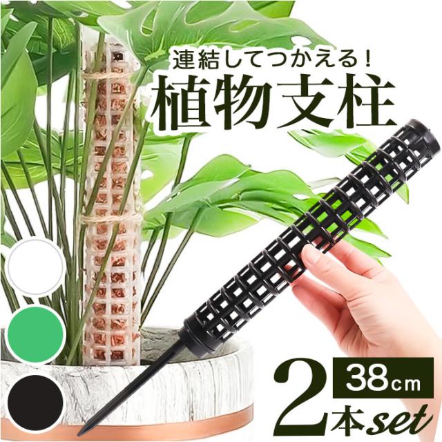 モスポール 2本セット 通販 支柱 観葉植物 ガーデニング 園芸用 支え 植物 園芸支柱 植物支柱 モンステラ 園芸 ガーデニング用 サポート つる ガーデニング用品 植物サポート 支柱