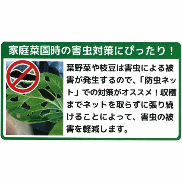 めざせ無農薬 足長防虫チャレンジセット 4セット 支柱 防虫ネット 枝豆 白菜 家庭菜園 防虫 害虫対策 第b 個人宅配送不可 代引不可の通販はau Pay マーケット 株式会社プラスワイズ Au Pay マーケット店