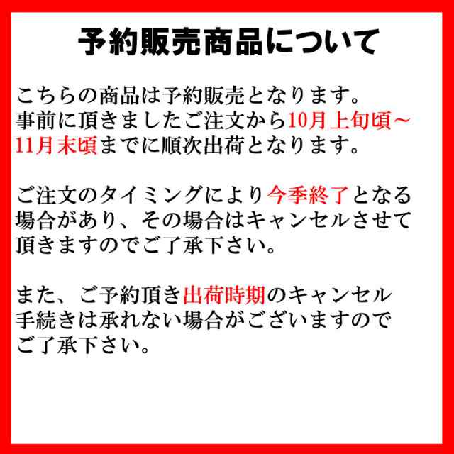 予約販売 ユリ ジャイアントカサブランカ 白 ノバゼンブラ 150球 球周 サイズ18 cm オリエンタル百合原箱 タキイ種苗 球根 花 園芸 ガの通販はau Pay マーケット 株式会社プラスワイズ Au Pay マーケット店