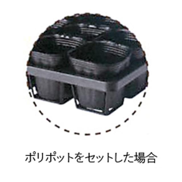 30枚 Toシステムトレー To 40t 7 5cm 40穴 ポット用 転倒防止 東海化成 草花 グランドカバー 野菜 果樹園 農園 園芸 ガーデニング タ種 の通販はau Pay マーケット 株式会社プラスワイズ Au Pay マーケット店