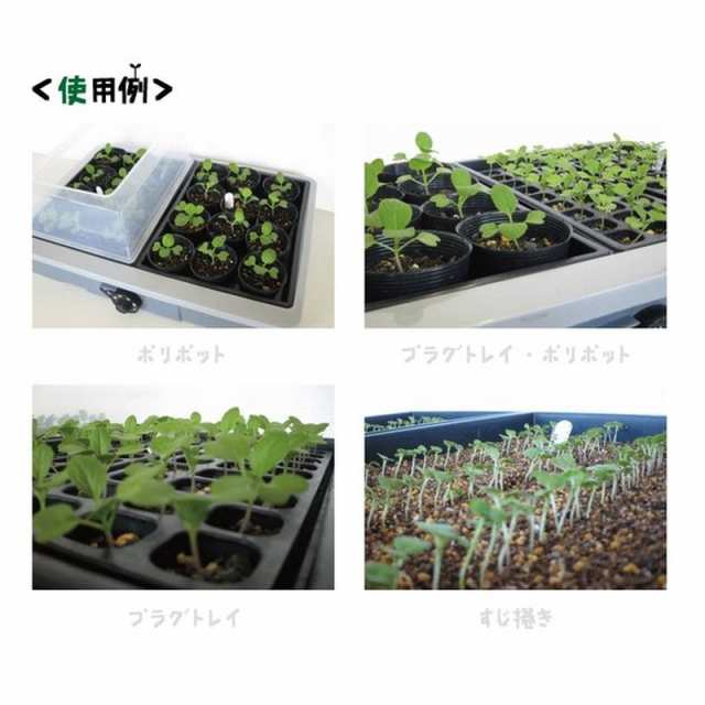 菜友器 PG-30 昭和精機工業 苗作り 発芽 育苗 ガーデニング 農園 農業 菜園 園芸 タ種 代引不可の通販はau PAY マーケット  株式会社プラスワイズ au PAY マーケット店 au PAY マーケット－通販サイト