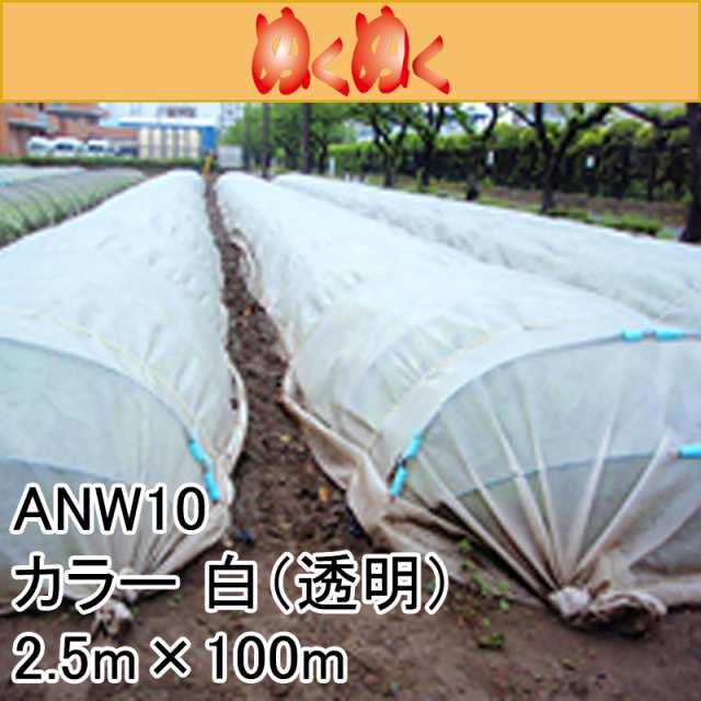 ベストセラー 2.5m × 100m 白(透明) ぬくぬく 遮光ネット ANW10 寒冷紗