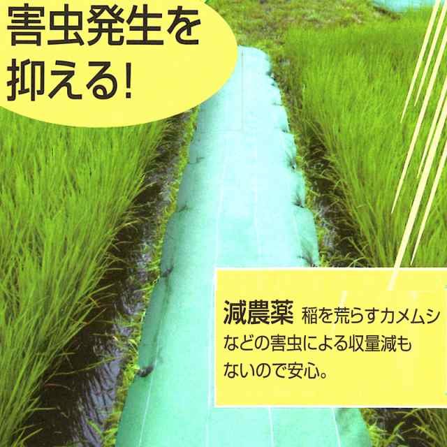 4年耐久畦クロス 200cm × 100m 畦・法面用 防草シート ダイオ化成