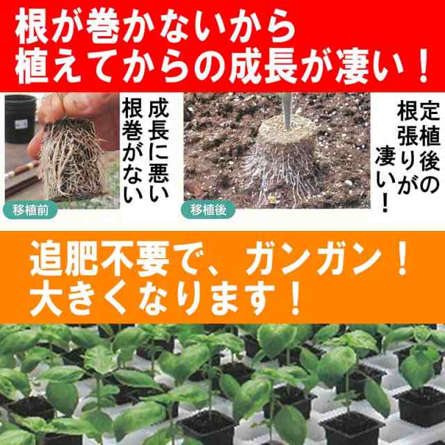 培土のみ 600個 国産 圧縮培土 育苗の達人 根巻しない そのまま植えられる成形土ポット アイエスマック 代引不可 - 5