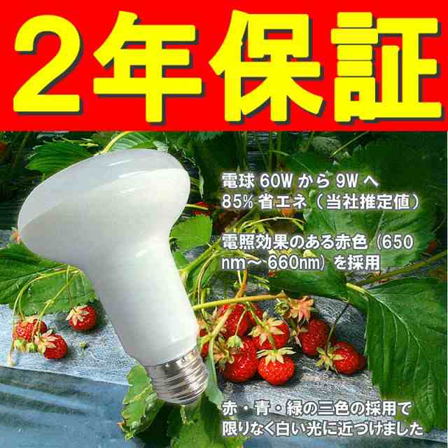 欠品 10個 電照 いちご 用 LED 電球 DE-LB9S 消費電力9W ビニールハウス用 照明器具 E26 DELSOL社製 カ施  代引不可の通販はau PAY マーケット 株式会社プラスワイズ au PAY マーケット店 au PAY マーケット－通販サイト