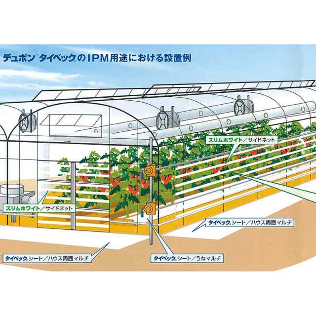 10本 タイベック マルチ 700AG 1.5m× 100m×10本 野菜 フルーツ 花卉 カ施 個人宅配送不可 代引不可の通販はau PAY  マーケット 株式会社プラスワイズ au PAY マーケット店 au PAY マーケット－通販サイト