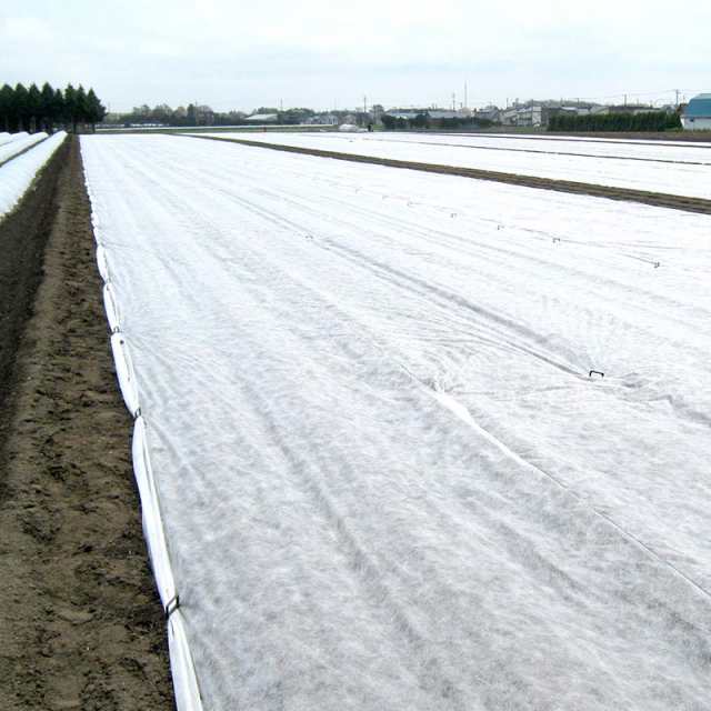 ユニチカ　パスライト　幅210cm×長さ200m - 1