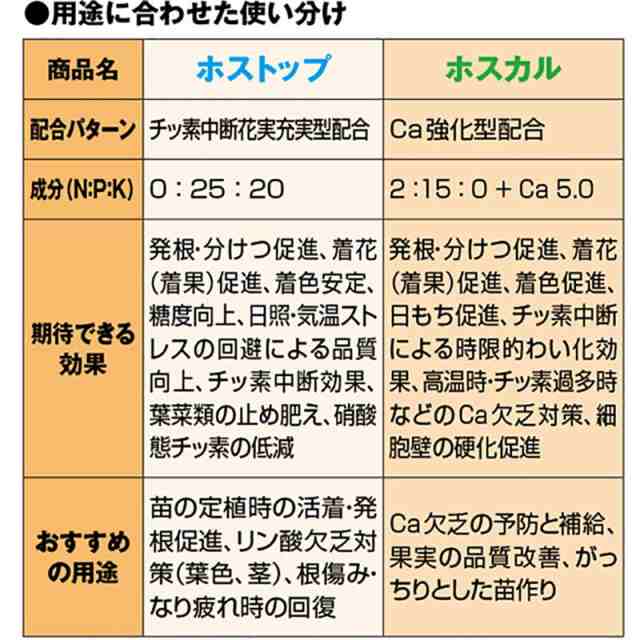 12本 ホストップ 1L 高機能液肥 亜リン酸液肥 液体肥料 サカタのタネ