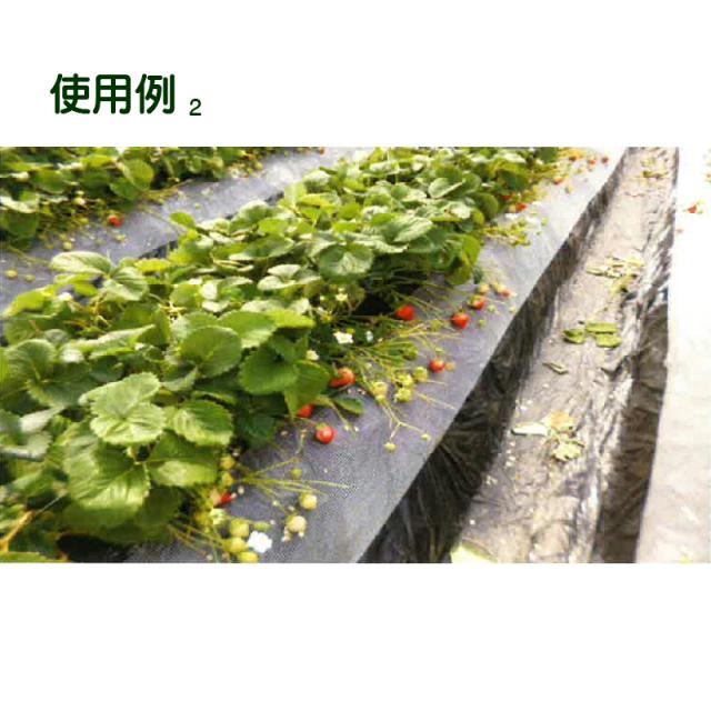 たまねぎ屋　みーちゃん　いちごパーツ たまねぎ屋 みーちゃん様 専用 いちごパーツ