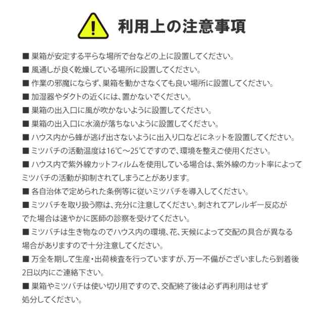 長期交配用ミツバチ 女王蜂入り 3枚群 約6000匹以上 西洋ミツバチ 販売 受粉用ミツバチ ポリネーション 産地直送