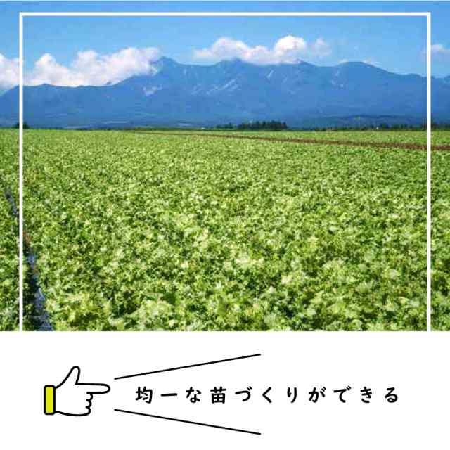 期間限定３０％ＯＦＦ！ ペーパーポット No.2-264（5H）105冊（個）264鉢 生分解性 紙筒 播種 種まき 育苗 苗 スイートコーン  アスパラガス ニッテン タ種 個人宅配送不可