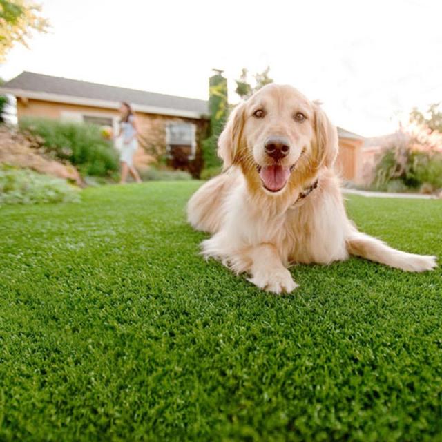 限定品 防草シート Pet防草シート ポリエステル 親水式タイプ No Sl100 Bs1 50 3本 透水 不織布 砂利 雑草 人工芝 下地 ガーデニング 庭 セルデ 圧倒的高評価 Theblindtigerslidell Com