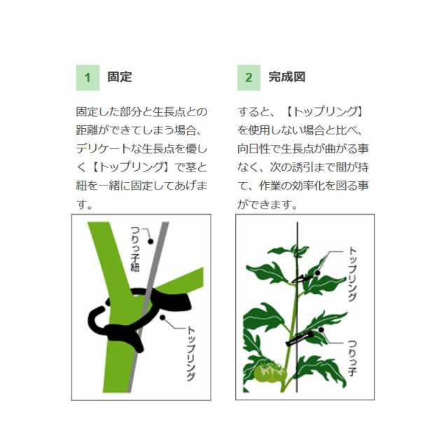 6000個 トップリング ナスニックス 茎と誘引紐を固定 栽培 誘引具 サt 送料無料 代引不可の通販はau Pay マーケット 株式会社プラスワイズ Au Pay マーケット店