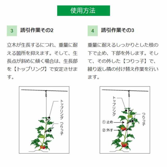 600個 つりっ子 キュウリ用 ナスニックス 茎と誘引紐を固定 栽培 誘引具 サt 代引不可dwの通販はau Pay マーケット 株式会社プラスワイズ Au Pay マーケット店