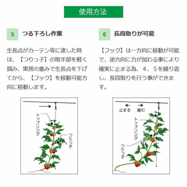 600個 つりっ子 キュウリ用 ナスニックス 茎と誘引紐を固定 栽培 誘引具 サt 代引不可dwの通販はau Pay マーケット 株式会社プラスワイズ Au Pay マーケット店