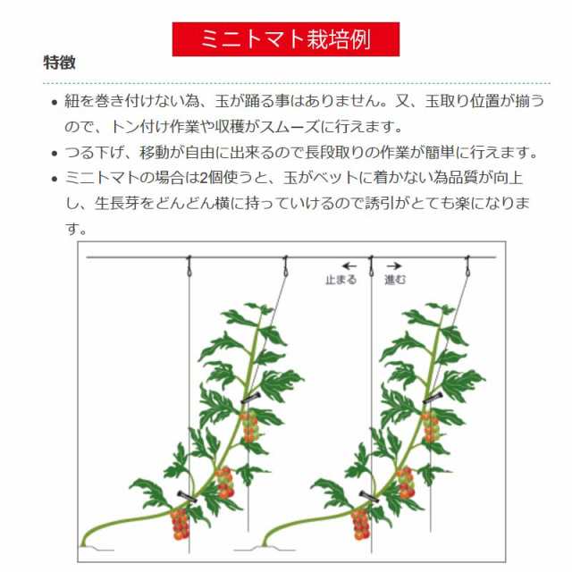 600個 つりっ子トマト用 ナスニックス 茎と誘引紐を固定 栽培 誘引具 サt 送料無料 代引不可dwの通販はau Pay マーケット 株式会社プラスワイズ Au Pay マーケット店