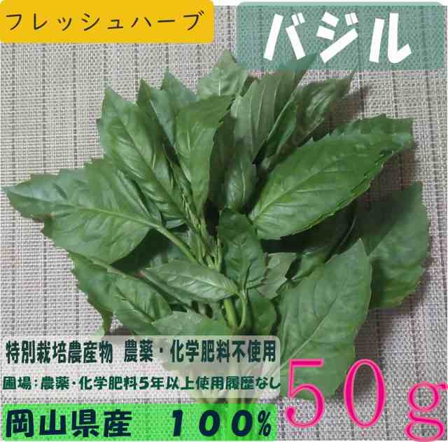 バジル 特別栽培農産物 無農薬 無化学肥料 ハーブ 西日本 岡山県産 旬野菜の通販はau Pay マーケット Celfar