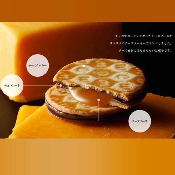 チーズウィッチ 11個入 洋菓子 お菓子 東京限定 スイーツ ギフト