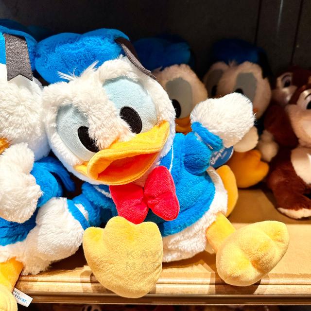 ドナルドダック　ハンドパペット　おもちゃ　男の子　女の子　ごっこ遊び　インテリア　キャラクター　グッズ　東京ディズニーリゾート　限定の通販は 5,681円
