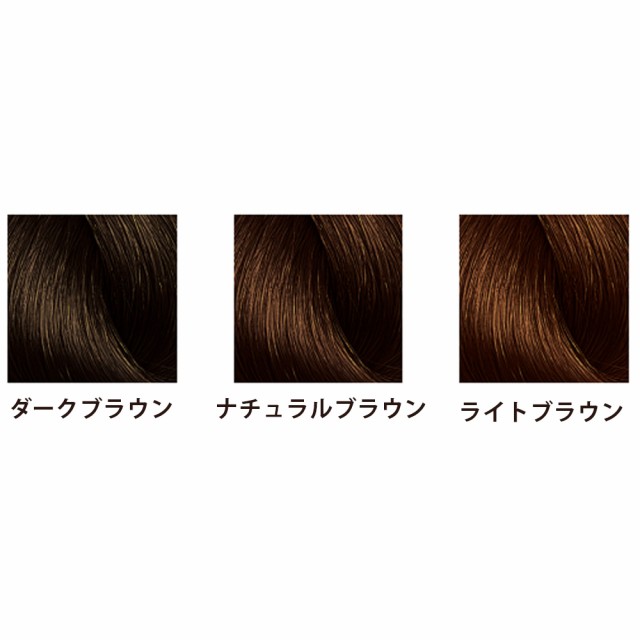 アモロス 黒彩 ヘアファンデーション 全3色 8gリフィル 詰め替え用