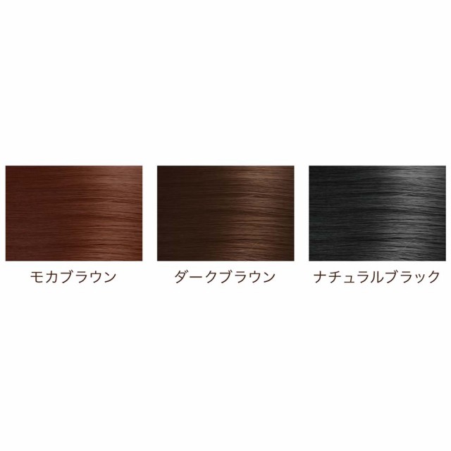 白髪隠し 生え際用 ポイント用 シラガネーゼ ポイントリッチカラーEX 20g ヘアカラー 白髪染め コーム型 プッシュ式 ペン カラートリの通販はau  PAY マーケット プロ用ヘア＆コスメShopネッツビー au PAY マーケット－通販サイト