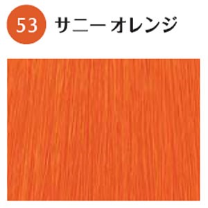 ホーユー グラマージュ ヘアマニキュア 53 サニーオレンジ 150g ヘアカラー の通販はau Pay マーケット プロ用ヘア コスメshopネッツビー