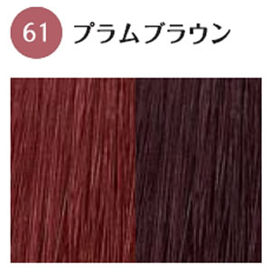 ホーユー グラマージュ ヘアマニキュア 61 プラムブラウン 150g ヘアカラー の通販はau Pay マーケット プロ用ヘア コスメshopネッツビー