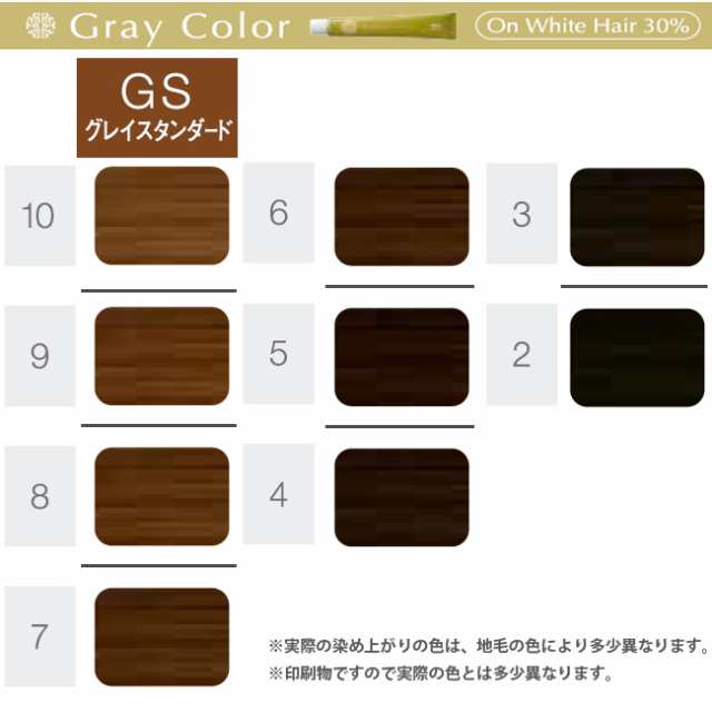 ホーユー プロステップ グレイカラー GS グレイスタンダード / 80g 