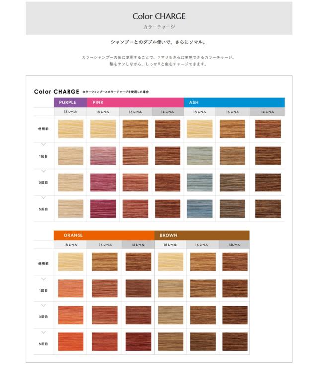 ホーユー ソマルカ カラーシャンプー＆カラーチャージ セット