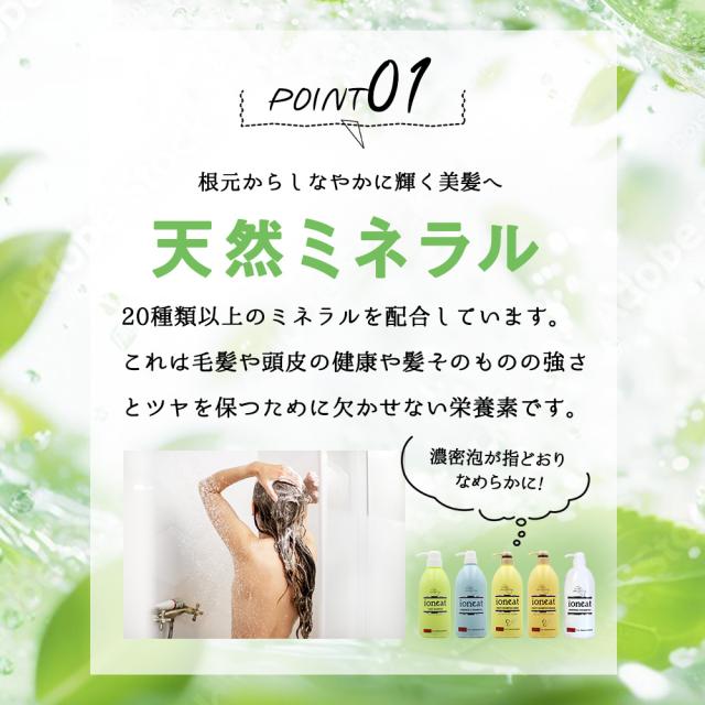 ポイント10倍 ] バン インターナショナル イオニート エッセンスV