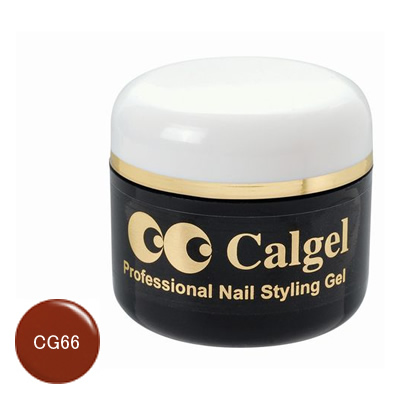 カルジェル CG66 カラージェル スモーキーオレンジ / 4g （C）の通販はその他ジェルネイル