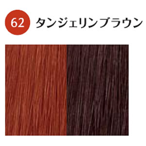 ホーユー グラマージュ ヘアマニキュア 62 タンジェリンブラウン 150g ヘアカラー の通販はau Pay マーケット プロ用ヘア コスメshopネッツビー