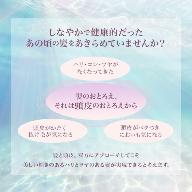 （店卸し資産境界線）リトルモア umii うみ 髪の毛風呂敷き包み 1000gリフィル 詰め替え 手当て 洗い流す 美容室市場独占 赤ちょうちん市場独占品 不都合世話をする エイジングケア しっとり little more.